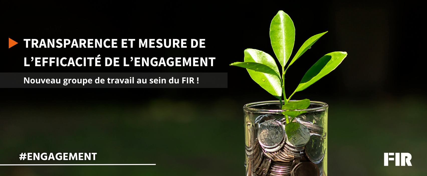 Transparence et mesure de l'efficacité de l'engagement : nouveau groupe de travail au sein du FIR !